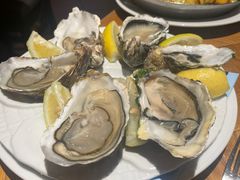 -NORDSEE Frankfurt Fisch Franke