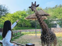 -北京野生动物园