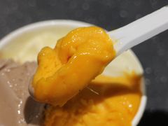 -Dip in Gelato(富民路店)