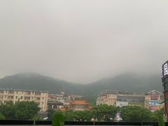 -粤点越有·茶点·粤菜(樵岭国际店)