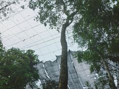 -野象谷景区