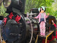 -五营红松林海景区