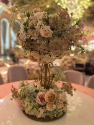 -爱尔乐美孕产瑜伽·普拉提