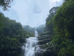 -碧峰峡风景区