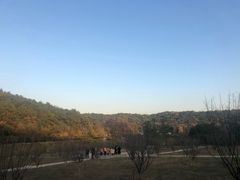 -龙寺生态园