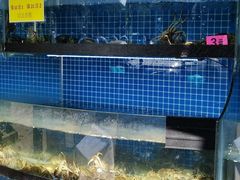 -军山湖云水间水上餐厅(进贤店)