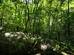 -青峰峡国家森林公园