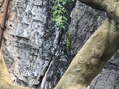 -清江方山景区