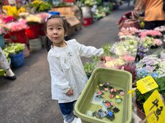 -循礼门鲜花花市(武汉循礼门店)