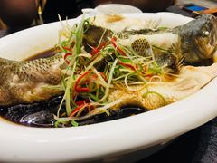 清蒸鲈鱼-东哥紫阳蒸盆子(旺座·现代城店)