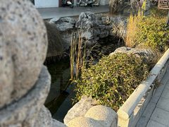 -常熟方塔园