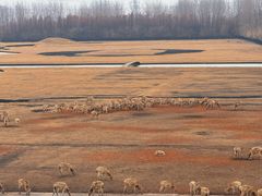 -溱湖国家湿地公园