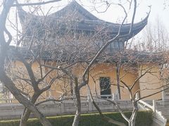 -红梅公园