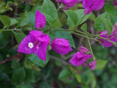 -白沙门生态公园