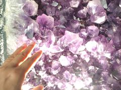 -粥六•新晋菜(柳巷店)