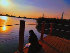 -芒洲湿地公园
