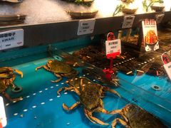 -必点海鲜·鲅鱼水饺(鞍山西道店)