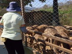 -佛冈森波拉度假区