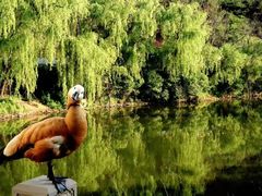 -大连森林动物园