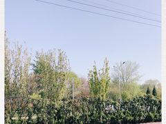 -滇釜火锅·能喝汤的火锅(车公庄店)