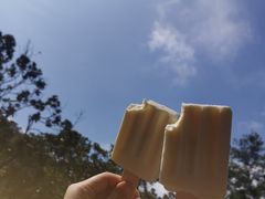 -黔灵山公园