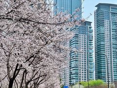 -西北湖绿化广场