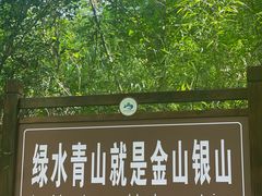 -九曲溪