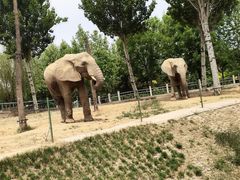 -石家庄市动物园