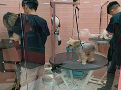 -FAELING PETS美天灵宠物(合生汇店)