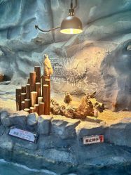 -Zoolung Zoolung动物主题公园(海信广场店)