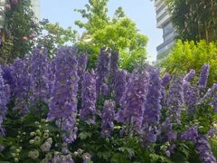 -西安电影制片厂