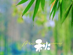 -金银湖国家城市湿地公园