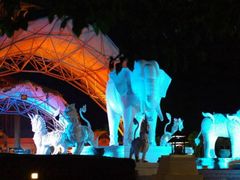 -清迈夜间动物园