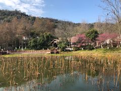 -八卦田遗址公园