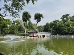 -莲湖公园