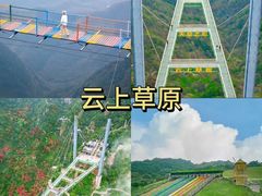 -老李家土菜馆·安吉地标美食