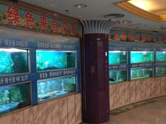 -金龙渔港(双楠店)