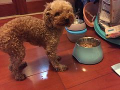 -爱侣宠医·鹦鹉专科·小型哺乳类·异宠专科(灵石路店)