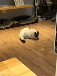 -沫儿·美甲美睫·半永久·皮肤管理