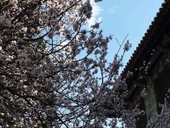 -北京协和医院(东单院区)