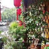 秋天里的鱼头火锅，绝绝子