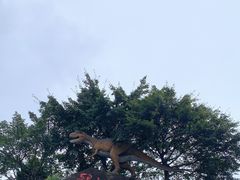 -自贡恐龙博物馆