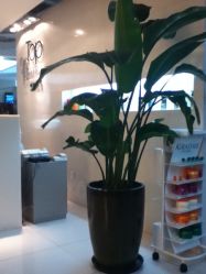 iphone_upload_pic-ace hair salon top 无痕接发