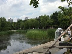 -群力丁香公园