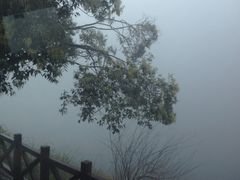-广州市石门国家森林公园