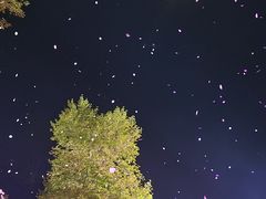 -常德桃花源景区