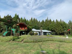 -东平国家森林公园