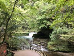 -黎坪国家森林公园