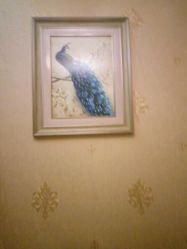 -源素美容养生会所