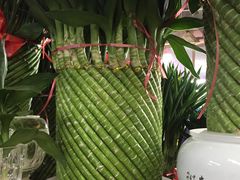 -花鸟鱼虫鲜花绿植市场(玉泉路店)